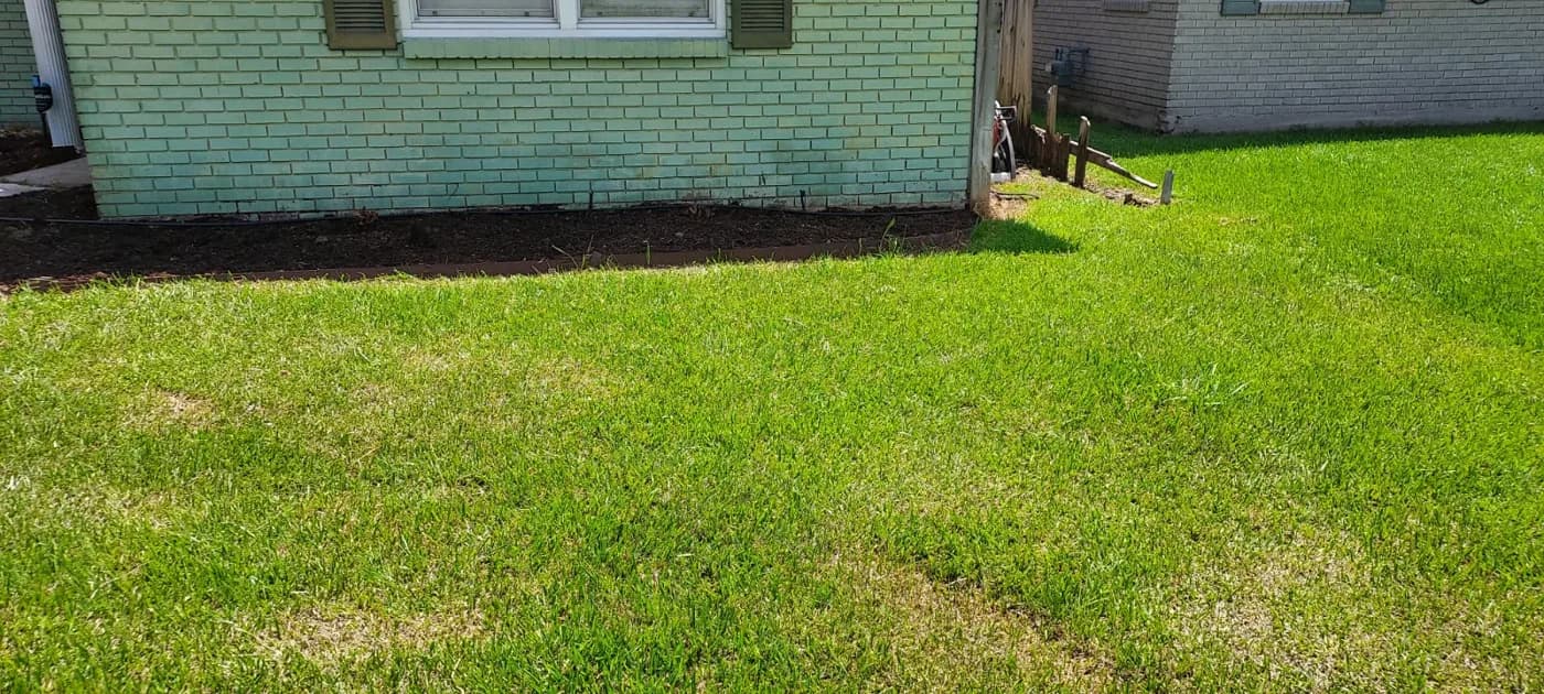 Gutter Cleaning