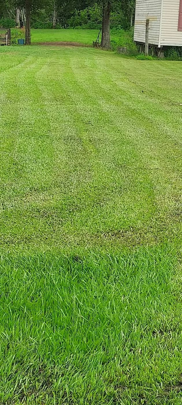 Lawn Care