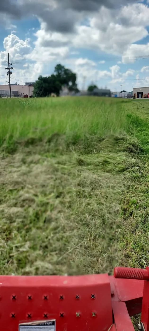 Overgrown lot mid-mow from the mower deck