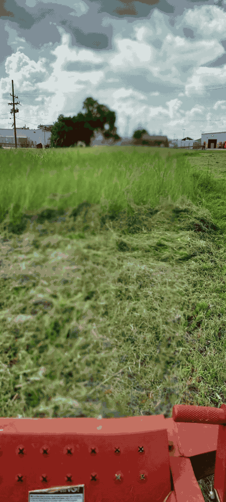 Overgrown lot mowed down, before and after